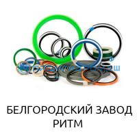 Ремкоплект РК-КПС6-100.40/1-ЕП