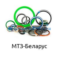 Ремкоплект РК-TTР401-125.50/2-ЕП