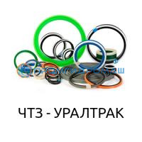 Ремкоплект РК-ПК46-100.63/1а-ЧП